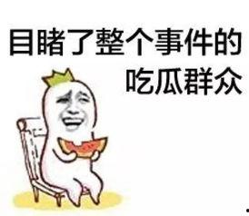 娱乐吃瓜群众冲冲冲,揭秘娱乐圈幕后故事
